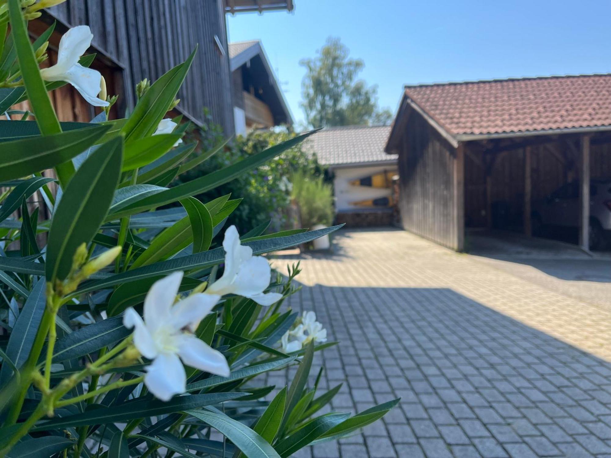 Apartment Wohlfuehlplatzl - Urgemuetlich & Ruhig Vogtareuth Eksteriør bilde